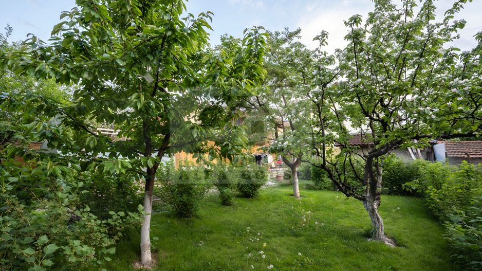 Casa individuala Sacele, 250 mp + 40 mp garaj + 556 mp curte - Poză 5