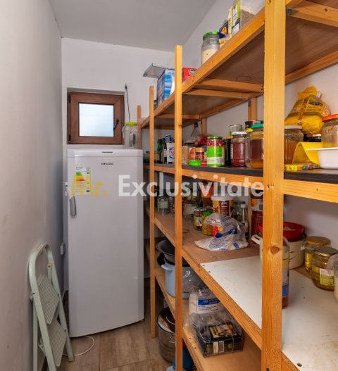 Casa moderna si casa bunicii + 6300 mp teren,Oaza autentica in Corbi Arges- - Poză 21
