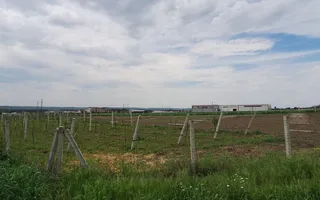 Teren intravilan cu PLANTATIE DE GOJII de vanzare in Racari - Poză 25