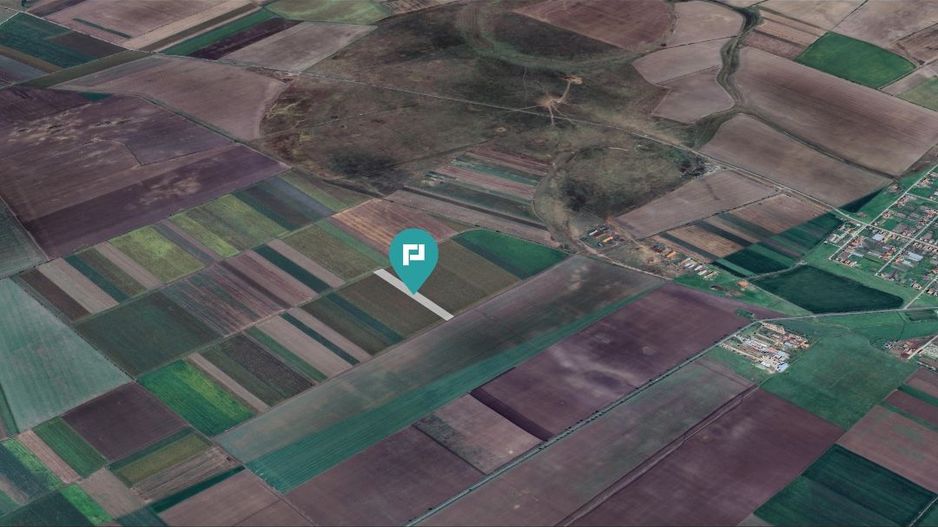 Teren extravilan de 14.500 mp în Caporal Alexa - Poză 5