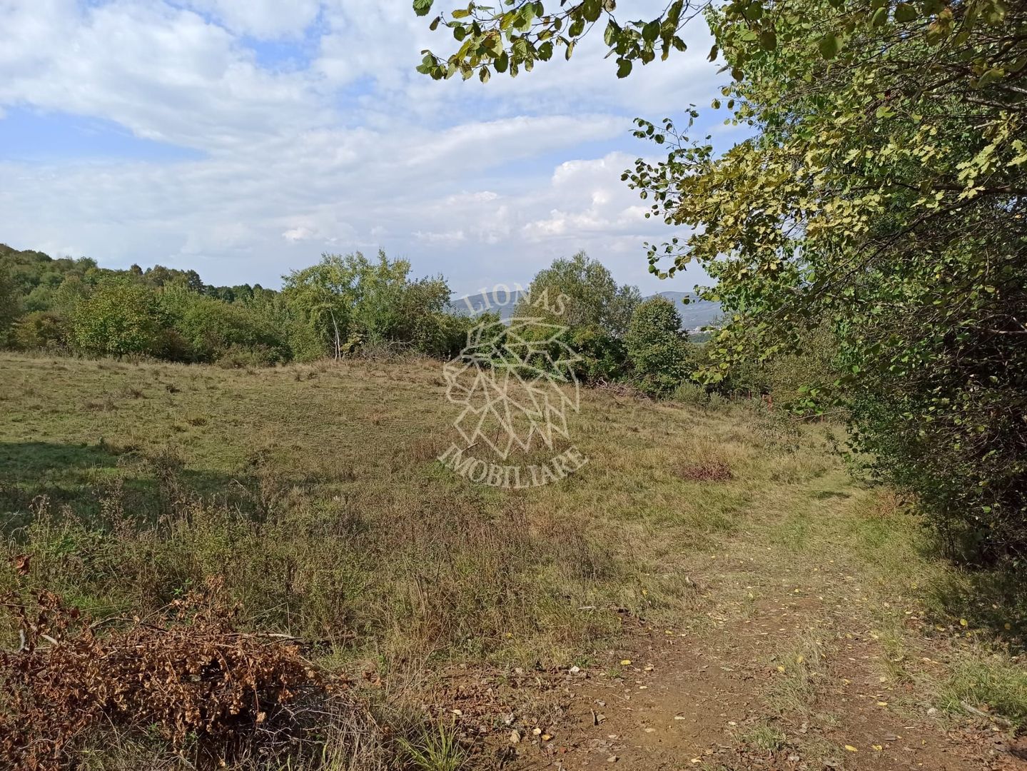 Teren  42,200 mp (4,22 hectare)-Parcelabil-investitie-Valea Jelnei - Poză 5