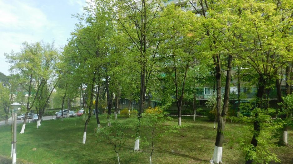 [0% comision] Gheorgheni, 2 camere etaj 1, Interservisan - Poză 6