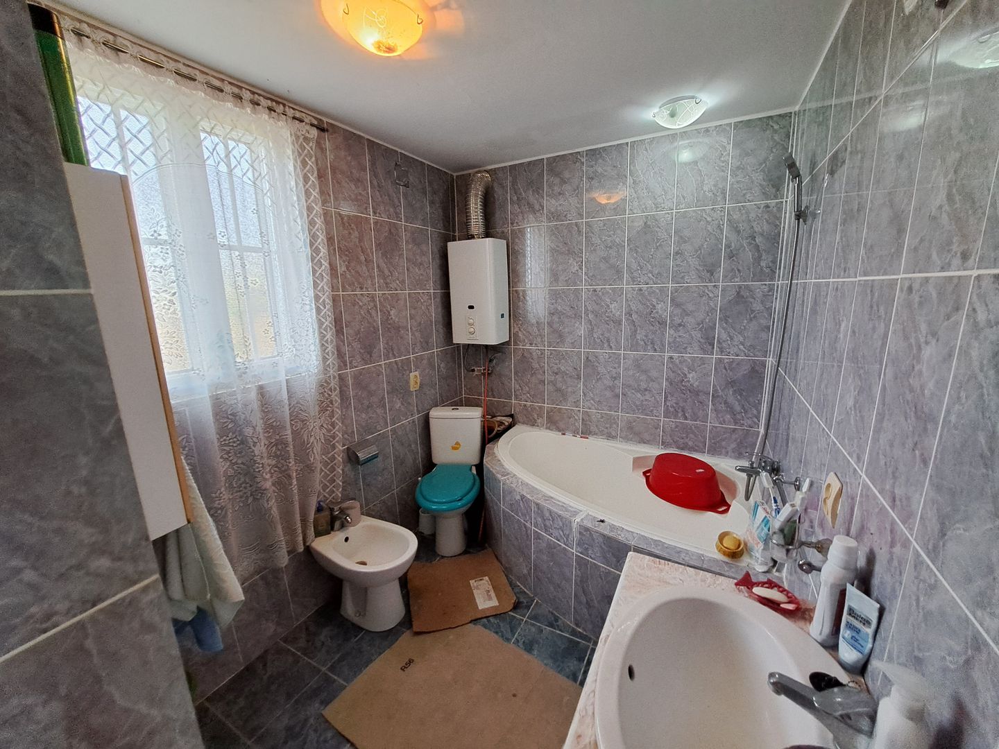 Casa + Teren 13.000 mp - Cervenia - Teleorman - Poză 19