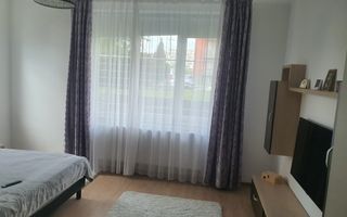 Apartament o cameră cu bucătărie separată - Doamna Stanca - Poză 8