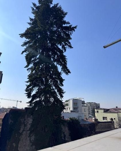 Apartament Dragos Voda / Eminescu - Poză 5