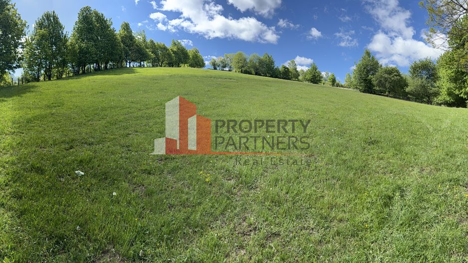 Teren Bran Sohodol 6700 mp - Poză 7