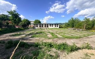 HALĂ INDUSTRIALĂ DE ÎNCHIRIAT – 600 MP | ACCES TIR– CÂMPULUNG - Poză 5