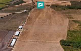 Teren intravilan agricol 558.500 mp Chevereșu Mare - Poză 3
