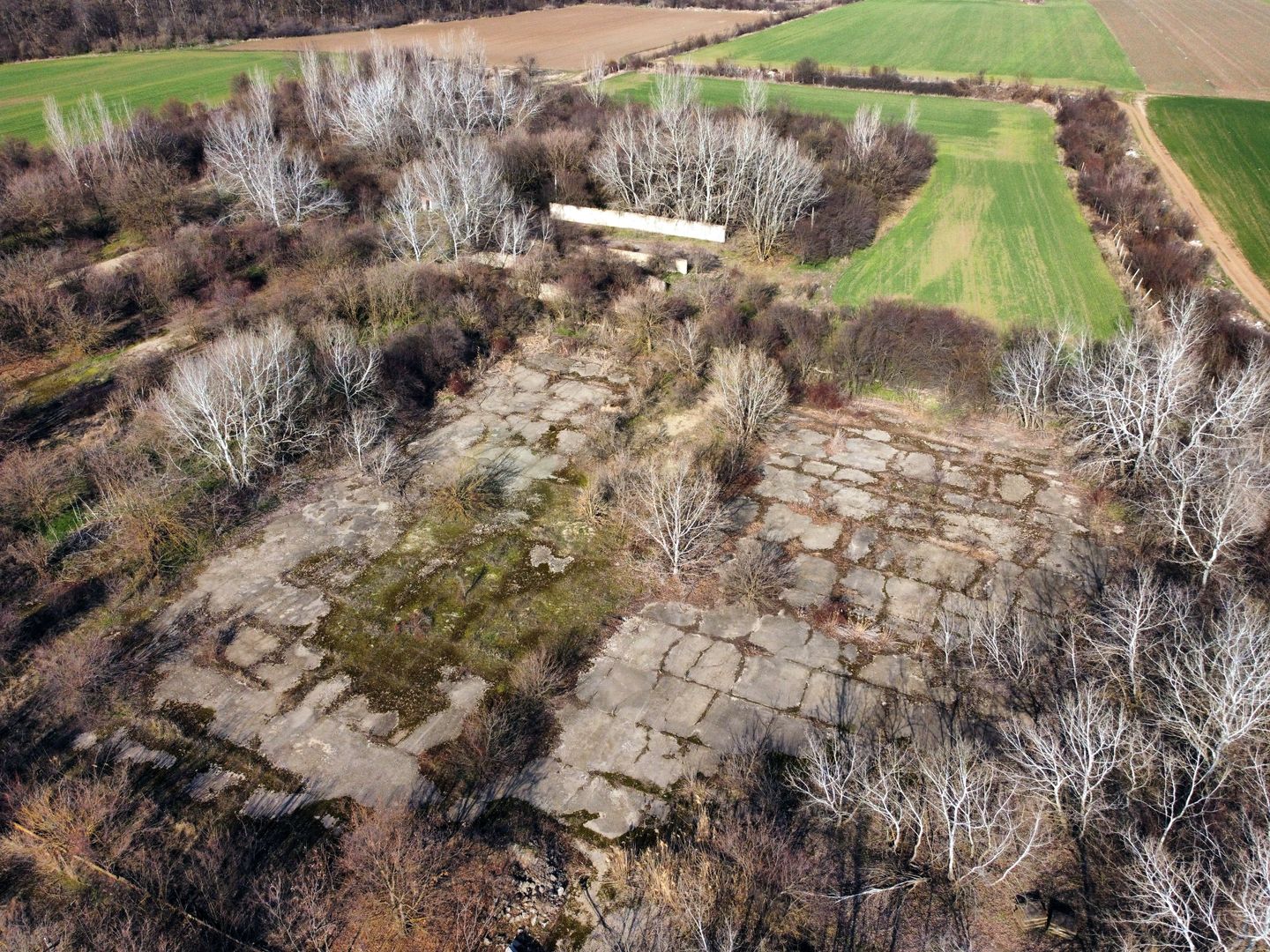Ferma si livada de meri in judetul Ilfov - Poză 3