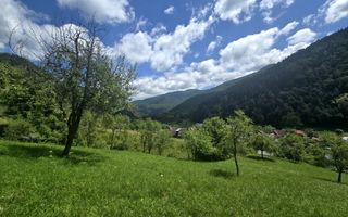 Teren | 2946MP | Priveliște Panoramică | Râu Sadului - Poză 5