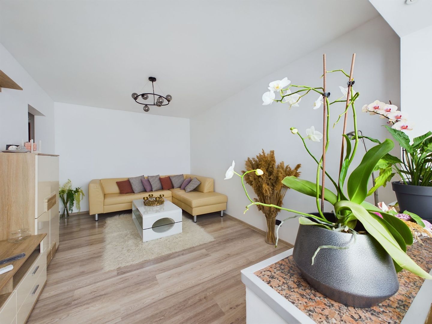 Apartament cu 3 camere în Vlaicu, Y-uri - Poză 4