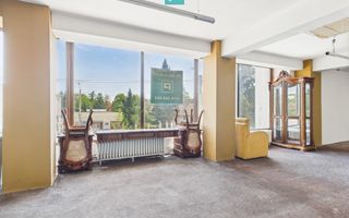 SAD – Calea Aradului, vad excelent - Poză 9