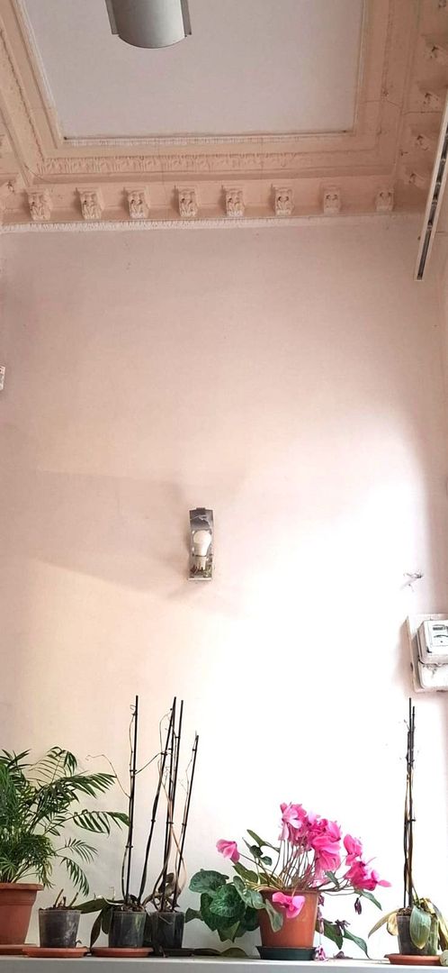 Sanctuar de Epocă: Reședință Grandioasă cu 10 Camere, Turn și Grădină - Poză 3