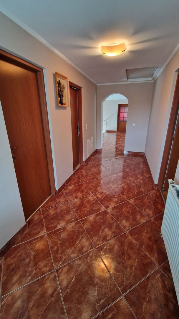 Vand casă  350 mp cu teren 55 arii in localitatea Iojib - Poză 7