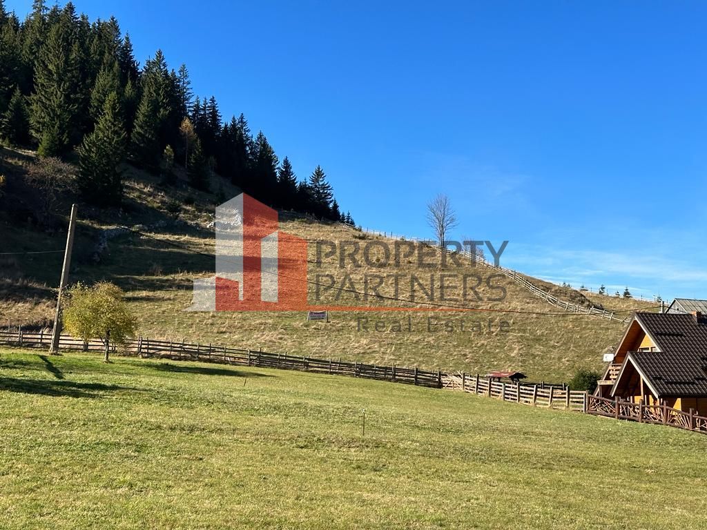 Teren Fundatica intravilan 4500 mp - Poză 14