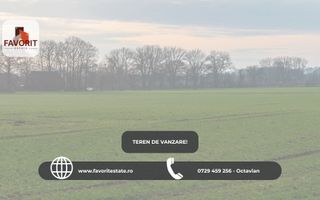 Teren in Sacalaz | Toate utilitatile | Cu proiect  | Casa Indiv | - Poză 1