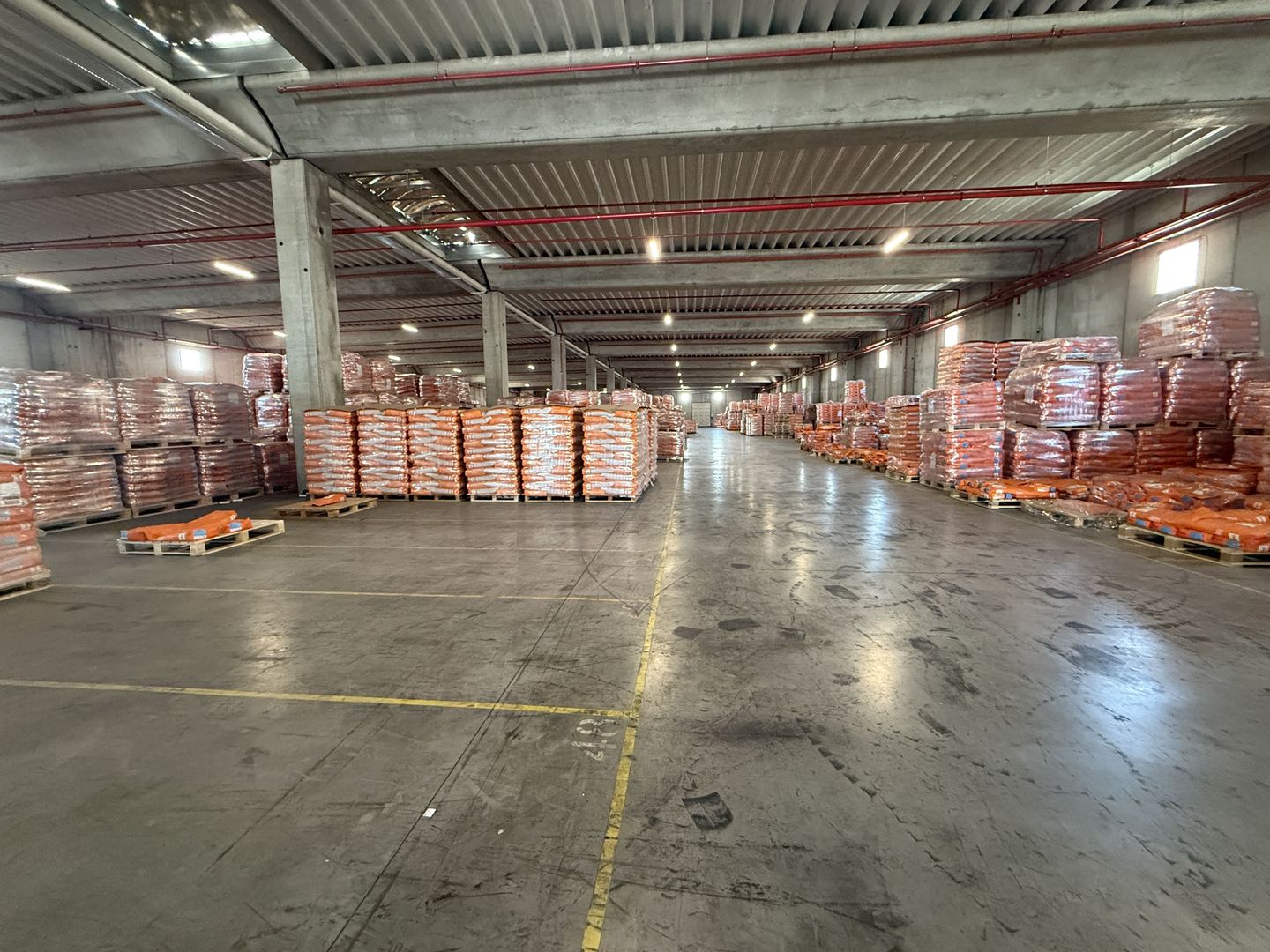 Hală industrială / depozit logistic de închiriere în Chitila | 5.000 m - Poză 7