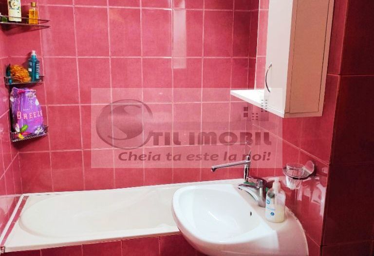 Apartament 2 camere- Zona P-ta Nicolina- 460 Euro - Poză 7