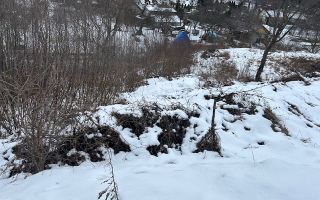 Teren gata de constructii in Bran-Sohodol - Poză 2