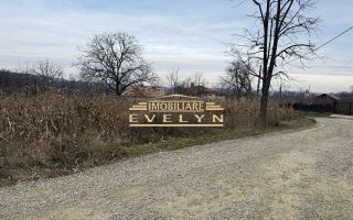 Teren intravilan de vânzare – Mănăstirea Doamnei - Poză 1