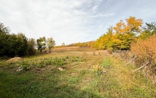 1.838 mp Construibil | Front 25,6 m | Zonă Rezidențială – Gădălin - Poză 6