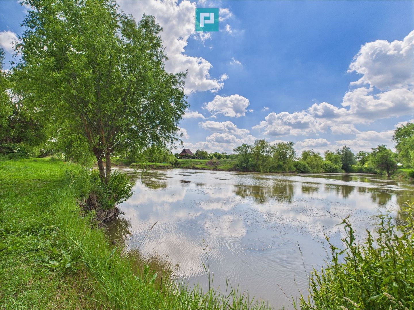 Teren cu baltă- oportunități multiple la Fibiș - Poză 26