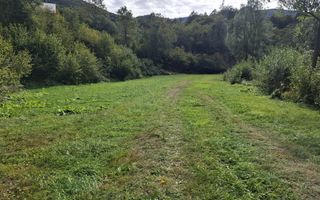 Teren Intravilan de Vânzare – 4000 mp – Râu Sadului - Poză 9