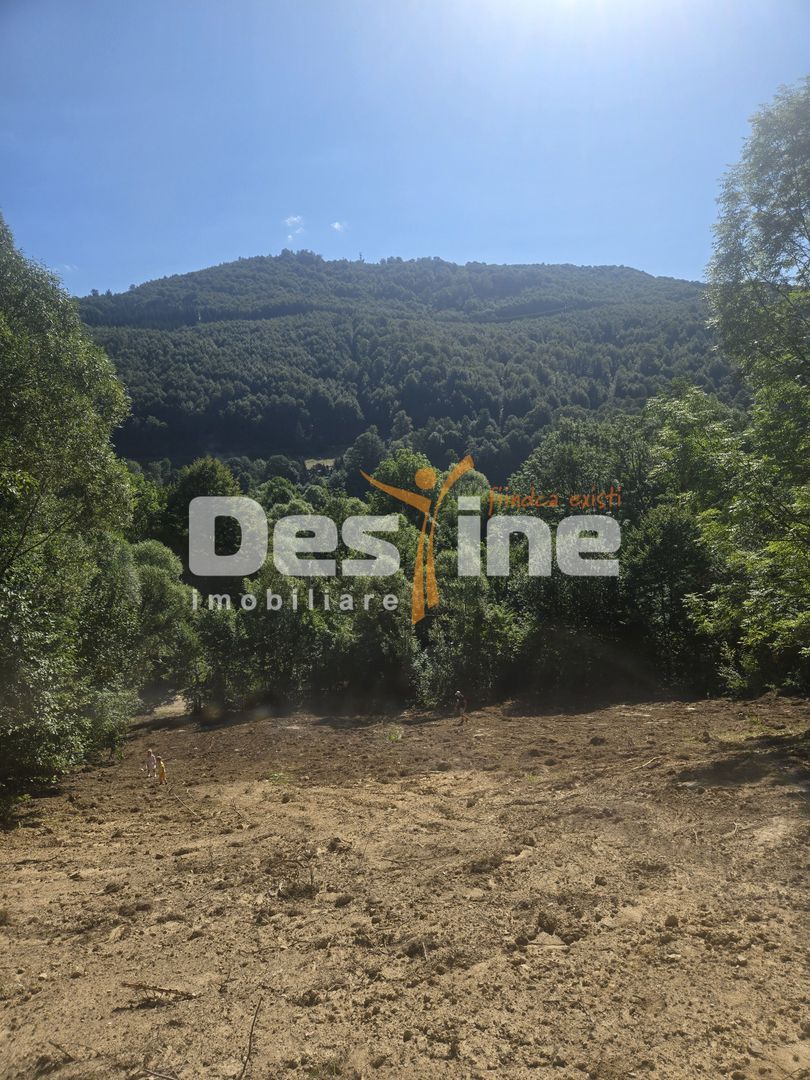 Teren Valea Doftanei,  zona Pe Vale - Baraj Paltinu - Poză 1
