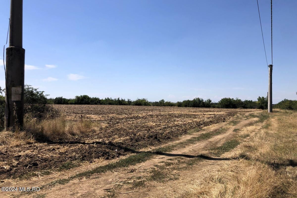 Moara Vlasiei - langa Padurea Biglaru, 11.884 mp, deschidere 40 ml - Poză 3