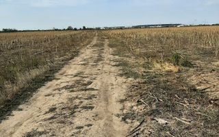 Teren, zona industriala, in Domnesti. Tarlaua 7, depozitele Logistics Park, A1 - Poză 2