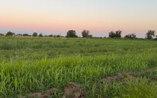 Ideal Investitie - Str Ctin Brancoveanu, zona noua, intravilan in noul PUG - Poză 11