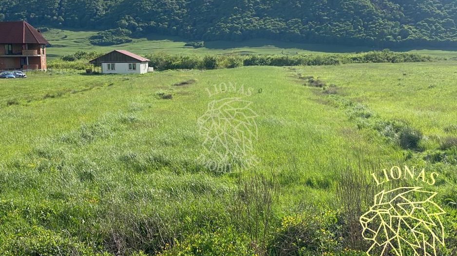 Teren intravilan-Crainimat -3000mp-ideal investitie construire casa - Poză 1