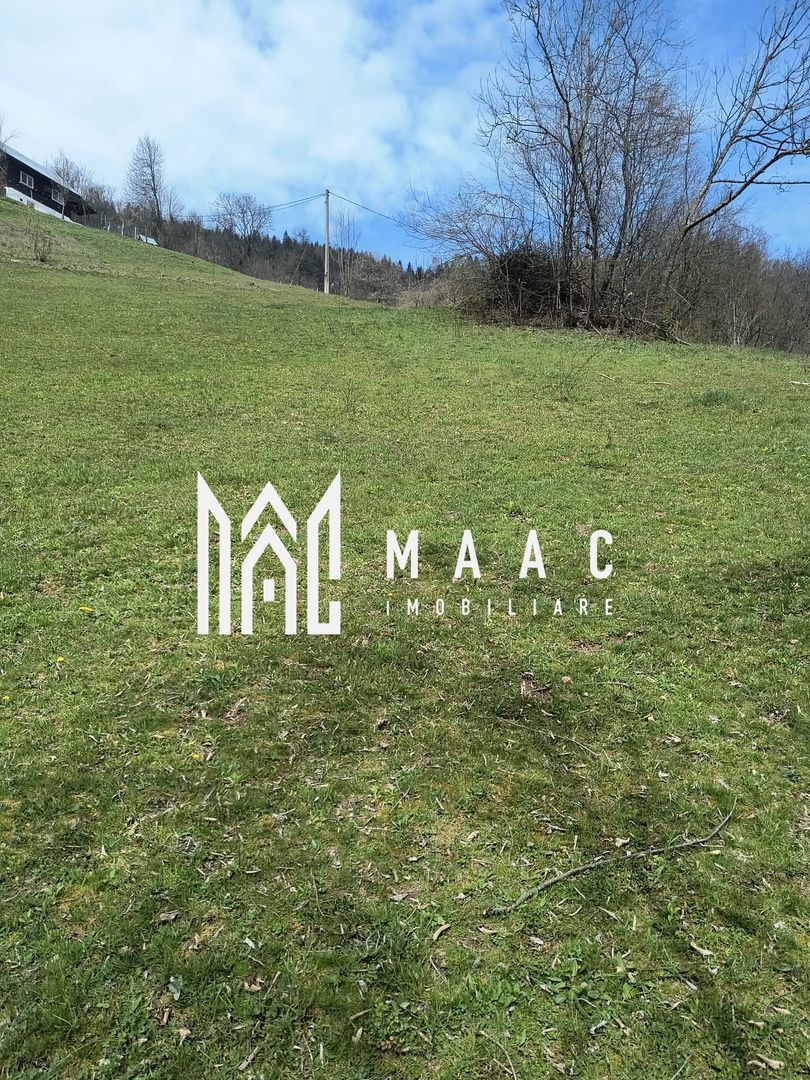 Un colt de rai in Apuseni I viața ca pe vremuri - Poză 6