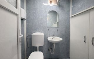 Casa 4 camere I Individuala I 810 mp teren I Turnisor - Poză 10