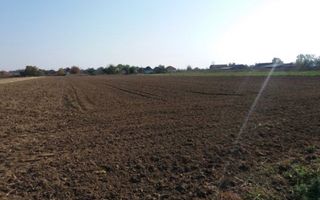 Investitie!Intravilan 55 ari capat Paulesti ( Intrare Ambud), 3.6 mf - Poză 5