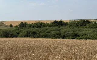 Teren intravilan Miersig, vedere la lac. 12,5 E/mp neg. Comision 0 - Poză 12
