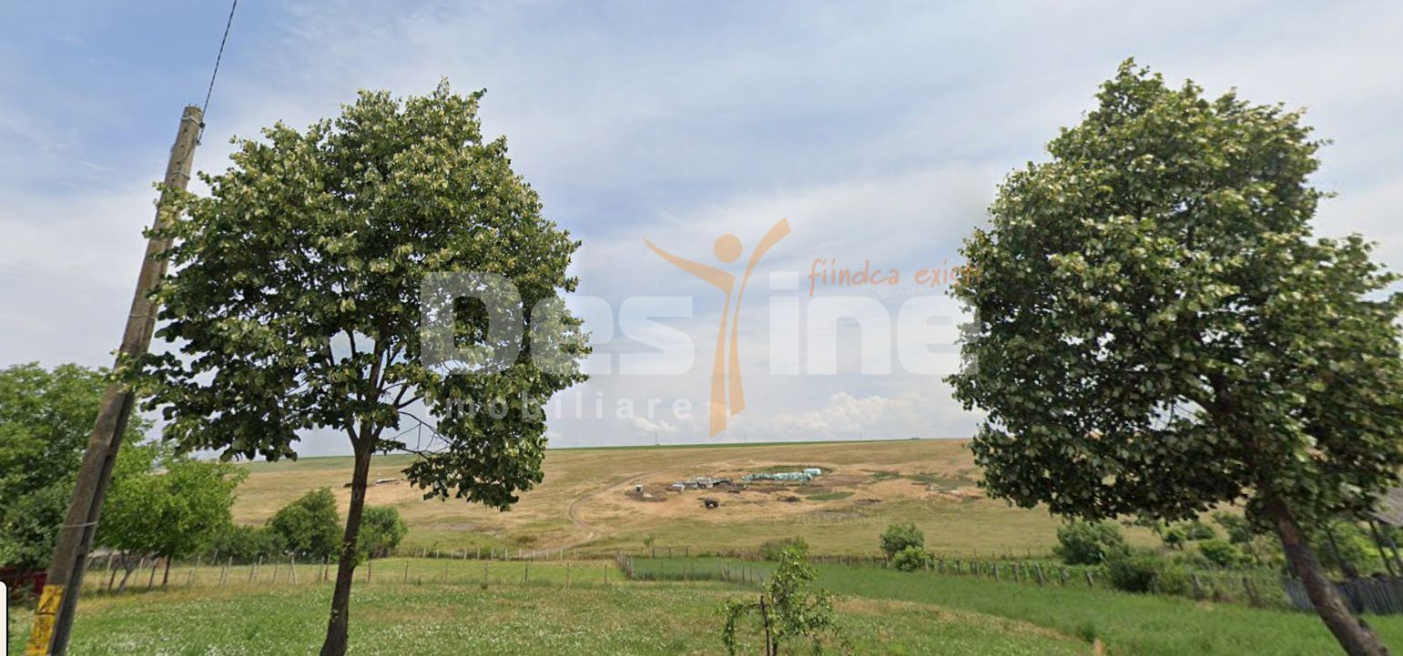 BOGDANESTI , TEREN INTRAVILAN 4864 MP - Poză 1