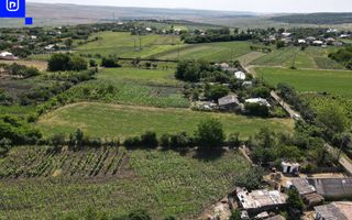 Teren - Ionășeni | BOTOȘANI | 3.285mp - Poză 5