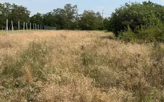 Teren intravilan Miersig, vedere la lac. 12,5 E/mp neg. Comision 0 - Poză 14