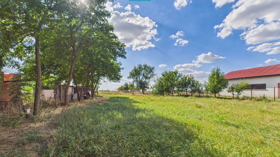 Casă P+E în Dudeștii Noi - Poză 12