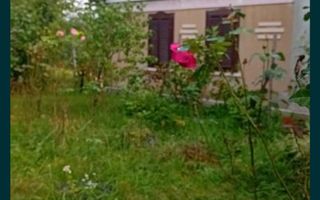 Casă / Vilă în Viile Satu Mare - Poză 1