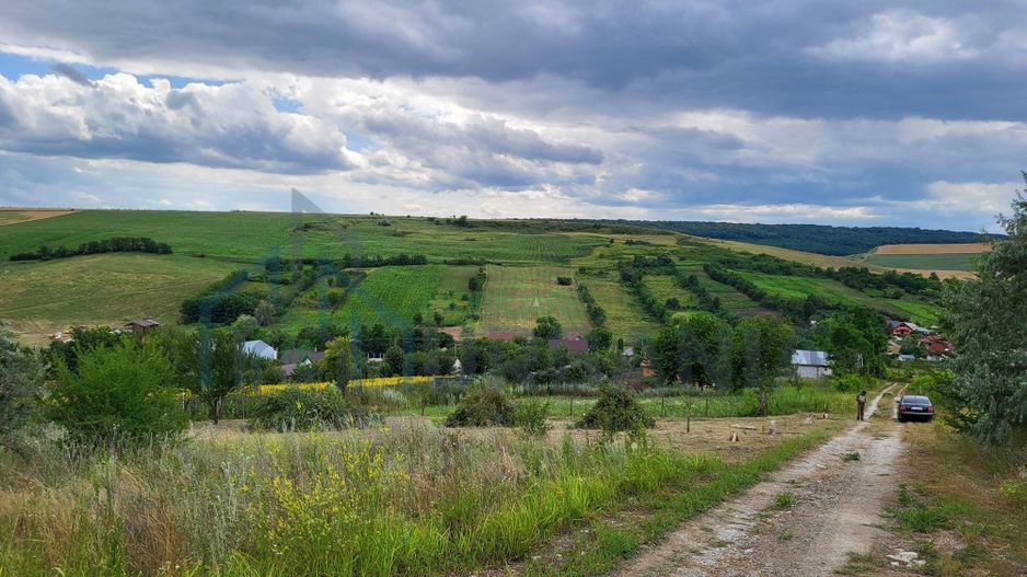 Teren intravilan 869 mp - Poză 2