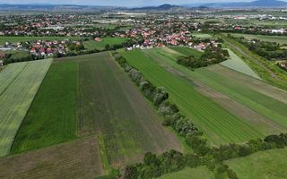 Teren intravilan 3h, Stupini -Str. Oitelor, asfalt si utilitati la 70 m - Poză 4