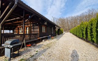 Casa din lemn D+P+M de 400 mp utili si teren 3.000 mp zona Faget - Poză 16