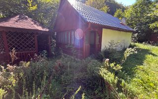 Cabana de vanzare, Valea Manastirii - Ramet - Poză 8