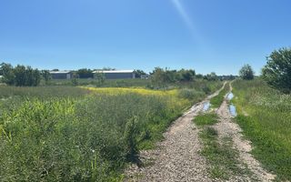 Vanzare Teren Intravilan Padure Izvorani (prin) Strada Florilor - Poză 4