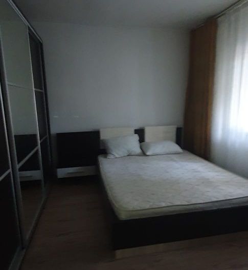 APARTAMENT 2 CAMERE ZONA INEL 2 / DEZROBIRII - Poză 5