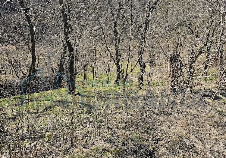 Teren intravilan de 600 mp în sat Pocreaca, cu acces la asfalt, curent și apă - Poză 2