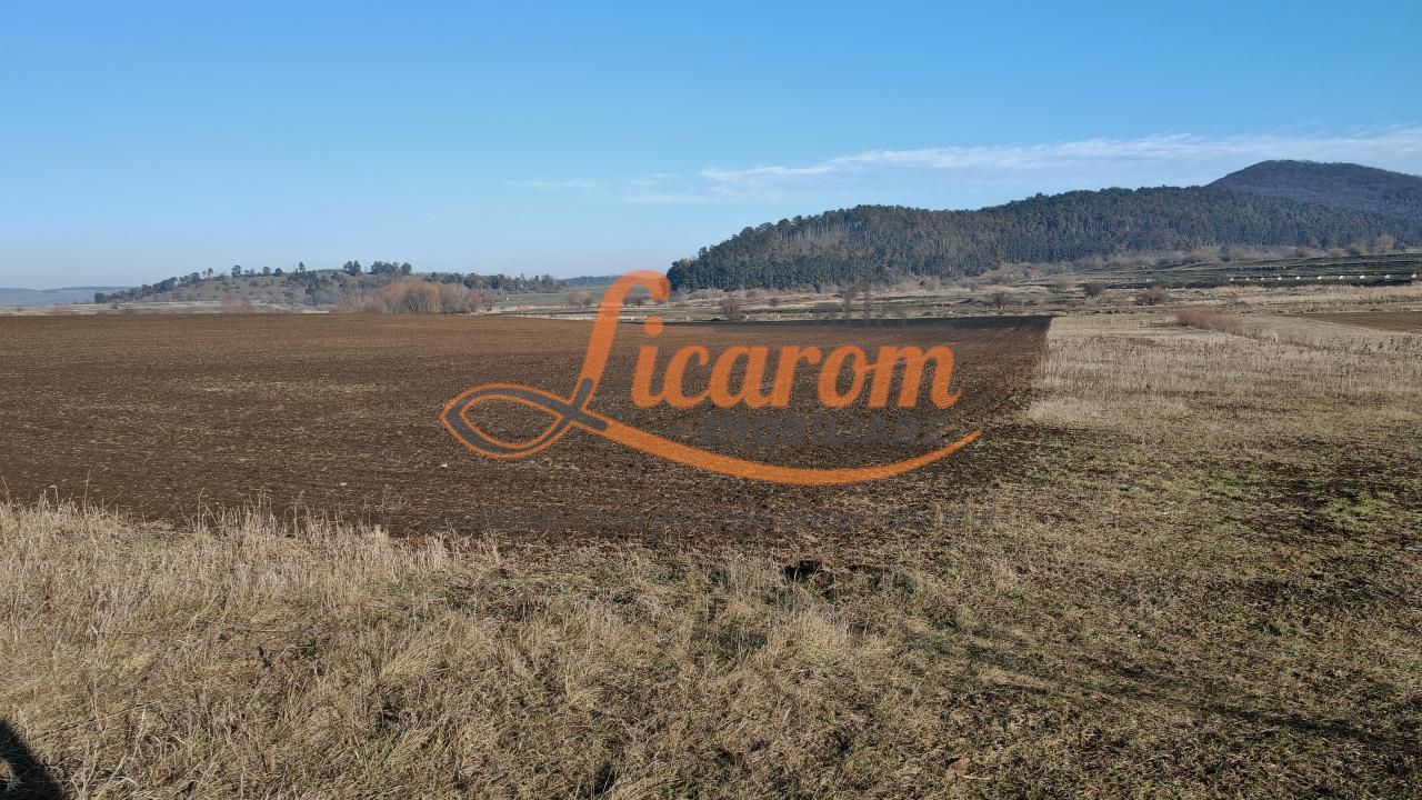 Teren intravilan,428 mp,SANPETRU iesirea spre BOD, utilitati. - Poză 2