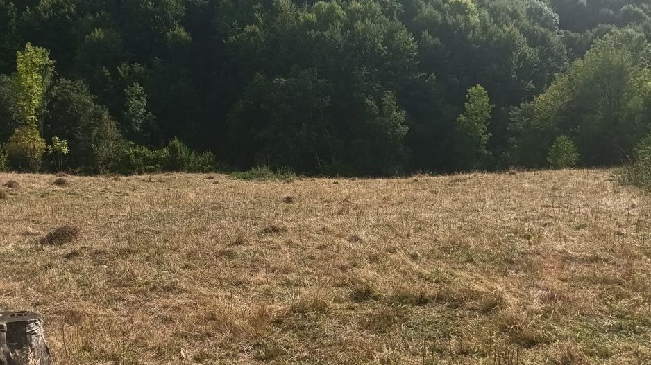 Teren de vanzare Coebeni-Turburea-Arges - Poză 2